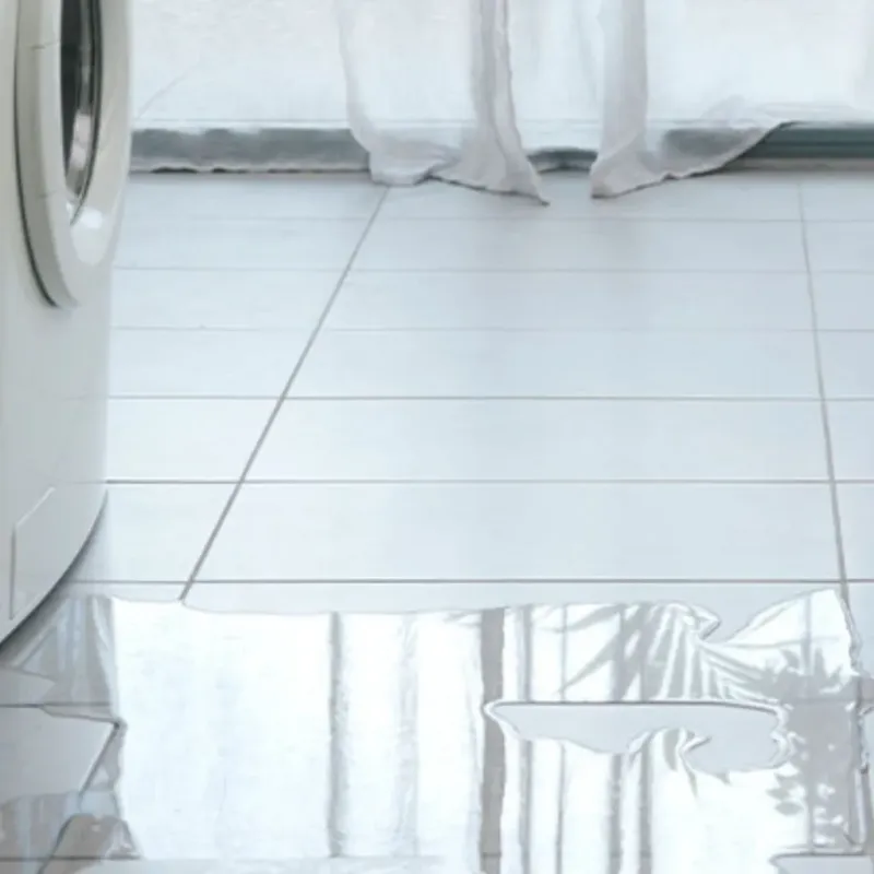 Appliance Leak Cleanup in Iona, FL