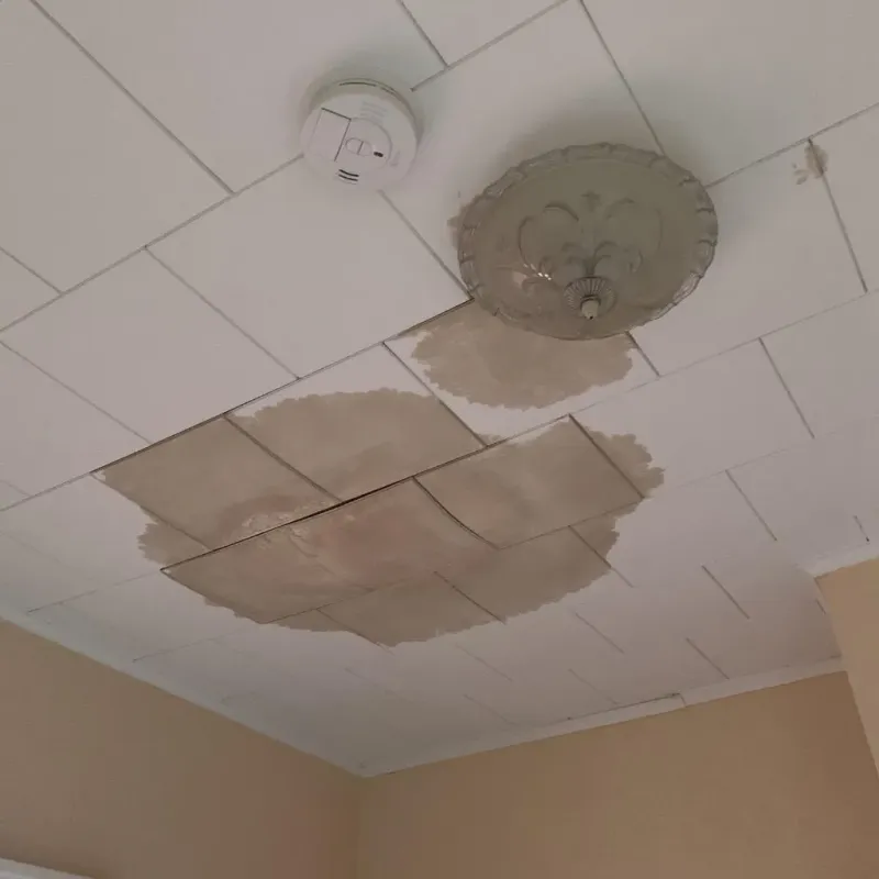 Ceiling Water Damage Repair in Iona, FL